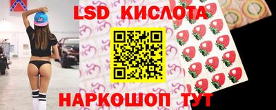 индика Рыбинск
