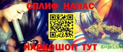 индика Рыбинск